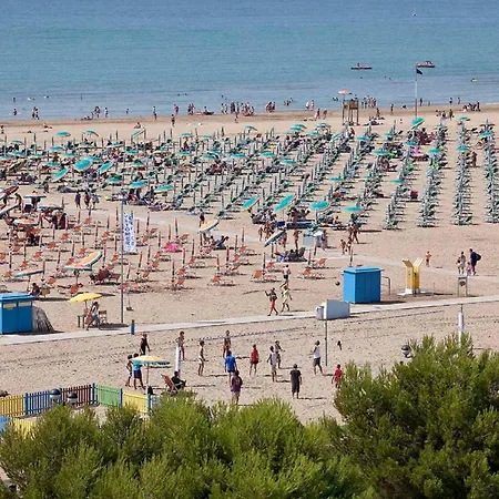 In 37068 Bibione
