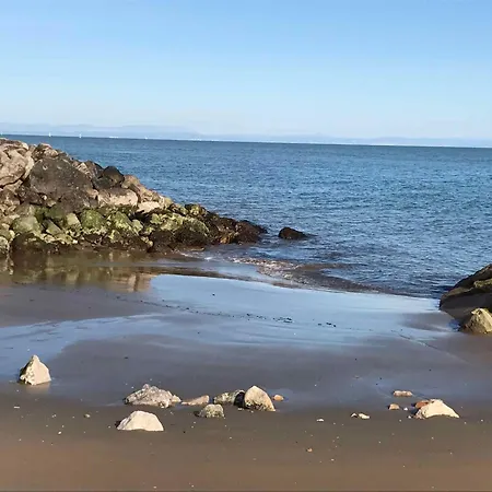 In 37068 * 比比翁